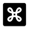 私蜜高清播放器